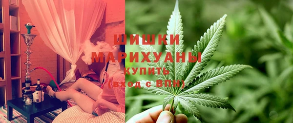 apvp Белокуриха