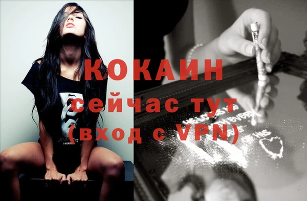 apvp Белокуриха