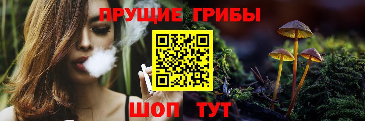 Псилоцибиновые грибы мухоморы Бугульма