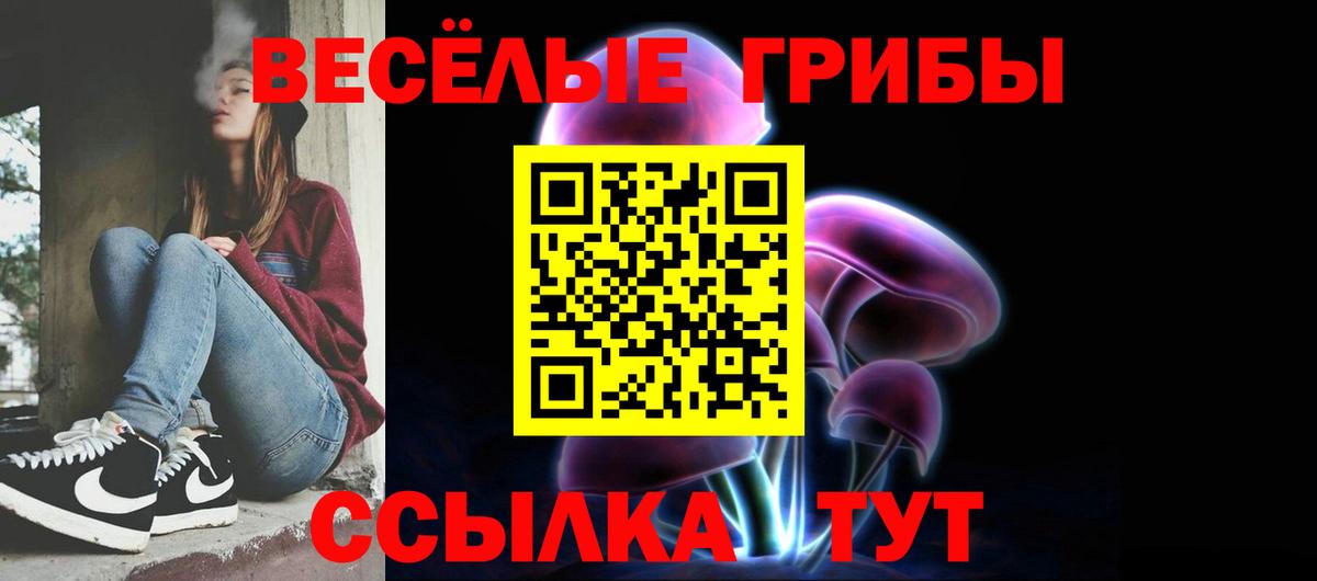 Галлюциногенные грибы MAGIC MUSHROOMS  Псилоцибиновые грибы прущие грибы  Бугульма  Вход с VPN 